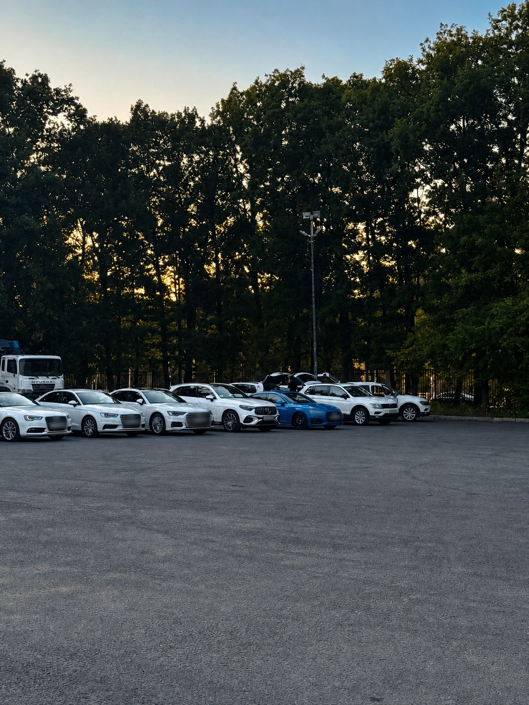 Автомобили участников клуба Tiguan Family на встрече в Москве